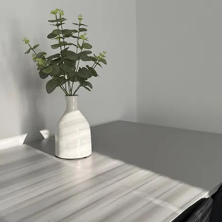 The Snug Shared House ゲストハウス